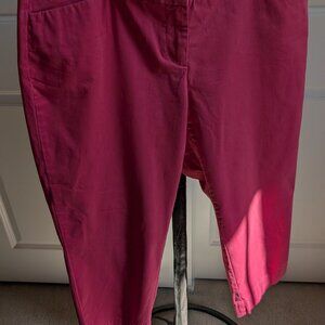 Loft Capri Pants